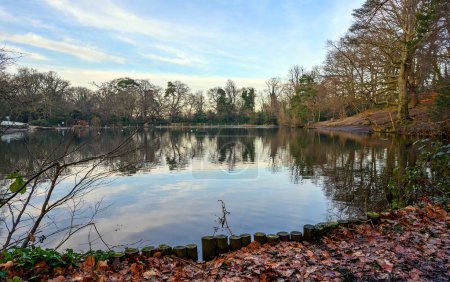 Téléchargez les photos : One of the Keston Ponds on Keston Common near the village of Keston in Kent, UK. A cold winter scene with red leaves in the foreground. - en image libre de droit