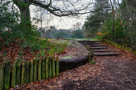 Téléchargez les photos : Keston Common near the village of Keston in Kent, UK. A footpath leading up some steps. Seen in winter near the Keston Ponds. - en image libre de droit