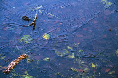 Téléchargez les photos : One of the Keston Ponds on Keston Common near the village of Keston in Kent, UK. Ice on the surface of the pond traps leaves and twigs and makes crystalline patterns. - en image libre de droit