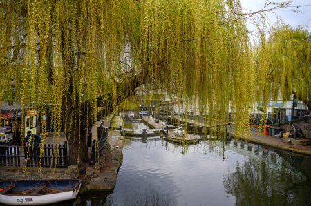 Photo for Camden Town, London, UK: Camden Lock on Regents Canal near Camden Market with willow trees. - Royalty Free Image