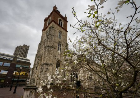Londres, Reino Unido: St Giles Cripplegate, una iglesia de estilo gótico ubicada en Barbican Estate en la ciudad de Londres con un árbol en primer plano.