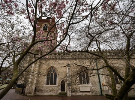 Londres, Reino Unido: St Giles Cripplegate, una iglesia de estilo gótico situada en Barbican Estate en la ciudad de Londres con árboles en primer plano.