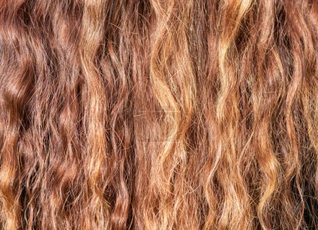 Foto de Fondo de textura de pelo largo marrón claro - Imagen libre de derechos