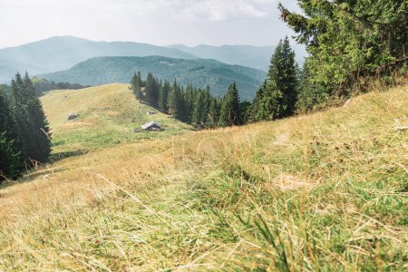 Abandonado redil de ovejas en el camino a Ciucas pico en las montañas de los Cárpatos, Rumania.