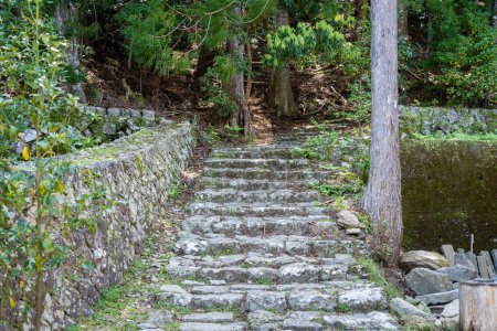 Kumano Kodo antiguo sendero de peregrinación en la península de Kii, Japón. Escalones de adoquines en el bosque.