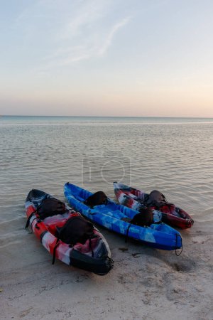 Foto de Manojo de kajaks o kayak en la orilla en la hermosa playa al atardecer. Tema Aventura - Imagen libre de derechos