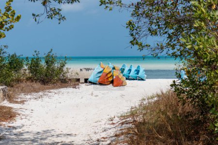 Foto de Manojo de kajaks o kayak en la orilla de la playa con agua turquesa. Tema Aventura - Imagen libre de derechos