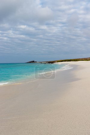 Sandy beach with turquoise water at Gardner Bay on Espanola Island, Galapagos National park, Ecuador.