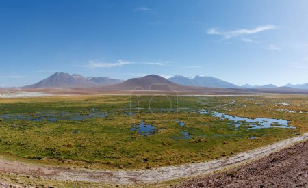 Humedales escénicos Vado Rio Putana entre San Pedro de Atacama y los géiseres de El Tatio en el desierto de Atacama en Chile, América del Sur.