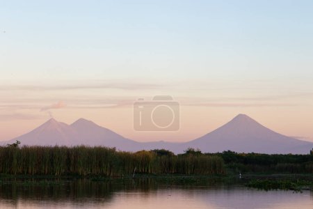 Volcanos fuego acatenango y agua vistos desde Reserva Natural de Monterrico, Santa Rosa, Guatemala.