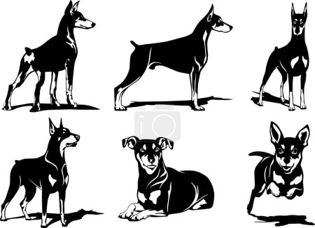 Ilustración de Dobermans perro logo diseño vector arte - Imagen libre de derechos