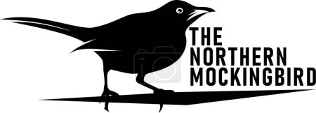 Illustration for The Northern Mockingbird symbol of Texas Independence Day - Royalty Free Image