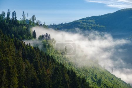 Fog over the mountains. Great view of the foggy valley National Park. Europe. Dramatic scene