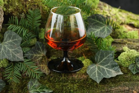 Photo for Glass of whiskey drink on the green forest background with moss - Royalty Free Image