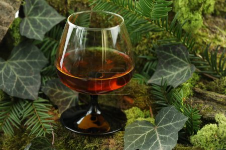 Photo for Glass of whiskey drink on the green forest background with moss - Royalty Free Image