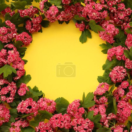 Gelber Hintergrund mit Rahmen aus Weißdornblumen und Kopierraum