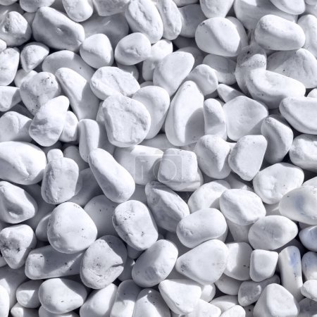 Photo for White pebbles stone texture background. Naturally polished white rocks - Royalty Free Image