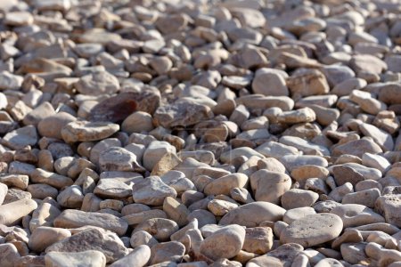 Téléchargez les photos : Fond de cailloux. Des pierres rondes. Sur la plage. Petites pierres marines - en image libre de droit