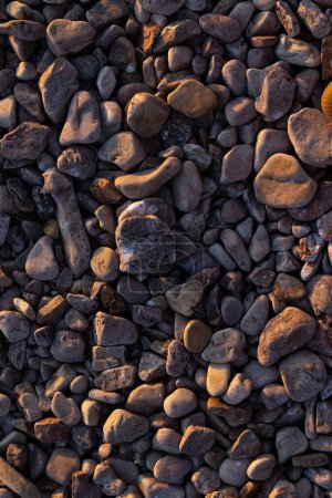 Photo for Pebbles background. Round stones. Beach shore. Small sea stones - Royalty Free Image