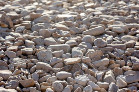 Téléchargez les photos : Fond de cailloux. Des pierres rondes. Sur la plage. Petites pierres marines - en image libre de droit