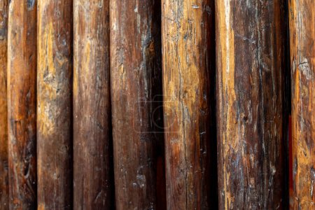 Photo for Wooden wall from logs. Assembled of beams texture. Unpainted debarked wall - Royalty Free Image