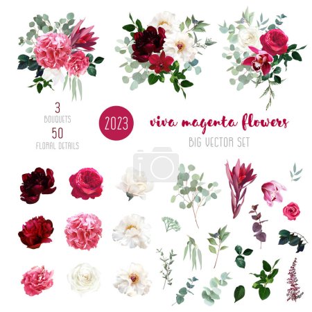 Illustration for Trendy magenta bouquets vector design big set. Hot pink roses, barbie pink ranunculus, white peony, dark orchid, hydrangea, ivory magnolia, carnation. All elements are isolated and editable on white. - Royalty Free Image