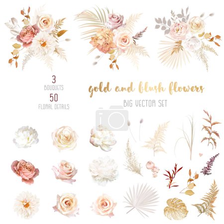 Téléchargez les illustrations : Gold, blush, beige, white rose, peony, dahlia, ranunculus, hydrangea flower, pampas grass, fern, dried palm leaves, monstera vector design big set. Nude and ivory. Elements are isolated and editable - en licence libre de droit