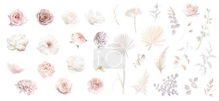 Boho beige and blush trendy vector design flowers. Pastel pampas grass, ivory peony, orchid, dahlia, ranunculus, dusty pink rose, lagurus, dried leaf. Wedding floral.Elements are isolated and editable