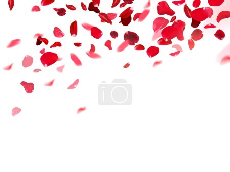 Téléchargez les photos : Des pétales de rose rouge tombent en l'air sur une carte vectorielle romantique blanche. Coeur conception de célébration de mariage. Belle toile de fond. Élégante bannière de mode. Modèle de Saint-Valentin. Tous les éléments sont isolés - en image libre de droit