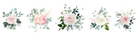 Téléchargez les photos : Rose rose pâle et beige poussiéreux, hortensia pêche, eucalyptus menthe, bouquets floraux vectoriels design verdure. Mariage classique sauge, fleurs blanches, rougissantes et beiges. Tous les éléments sont isolés et modifiables - en image libre de droit