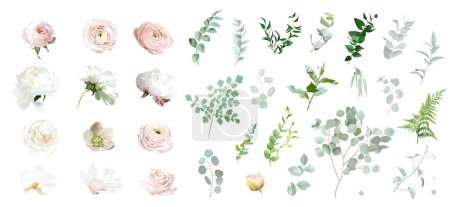 Téléchargez les photos : Rose rose, pivoine blanche, magnolia, rose rougissant ranunculus, eucalyptus, hellebore, orchidée, vert vecteur conception printemps ensemble. Aquarelle d'été florale. Le mariage fleurit. Les éléments sont isolés et modifiables - en image libre de droit