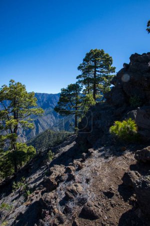 Foto de Landscaoe in Bejenado Peak in Caldera De Taburiente, La Palma, Canary Islands, Spain - Imagen libre de derechos