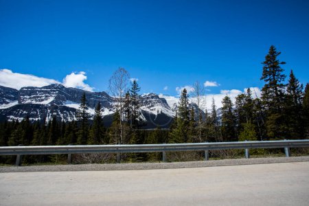 Photo for Summer landscape in Banff National Park in Canada - Royalty Free Image