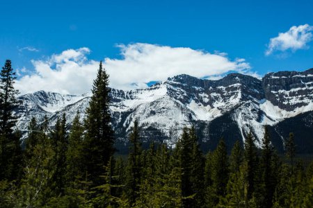 Photo for Summer landscape in Banff National Park in Canada - Royalty Free Image