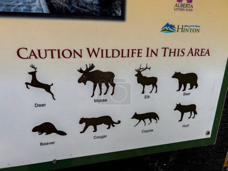 Photo for Hinton, Canada; June 2022: Informational signs about the dangers of wildlife in Canadian National Parks - Royalty Free Image