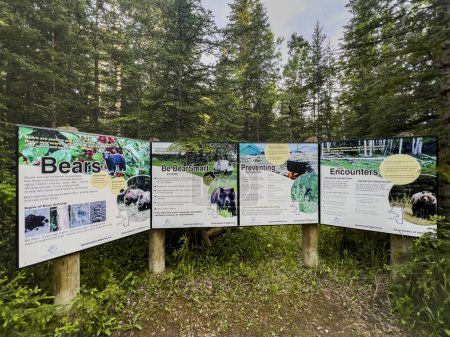 Téléchargez les photos : Hinton, Canada ; juin 2022 : Panneaux d'information sur les dangers de la faune dans les parcs nationaux du Canada - en image libre de droit
