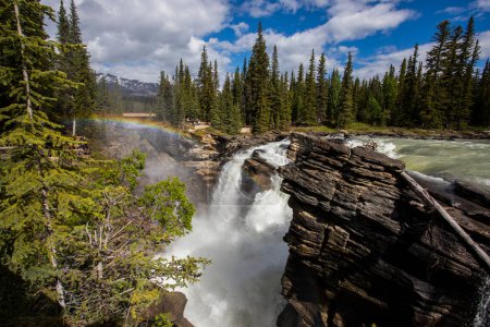 Photo for Summer in Athabasca Falls, Jasper National Park, in Canada. - Royalty Free Image