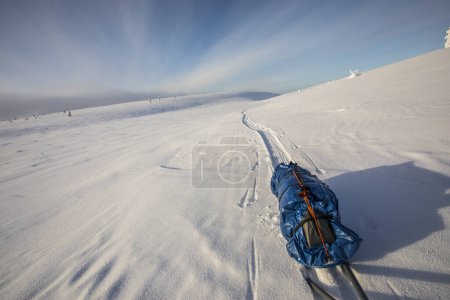 Téléchargez les photos : Expédition de ski dans le parc national de Pallas Yllastunturi, Laponie, Finlande - en image libre de droit