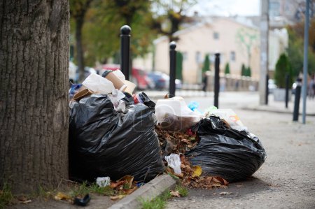 Téléchargez les photos : Des ordures dans des sacs dans la rue sous un arbre. Le problème de l'écologie dans le monde. Un jeté négligemment sacs à ordures dans la rue à l'air libre - en image libre de droit