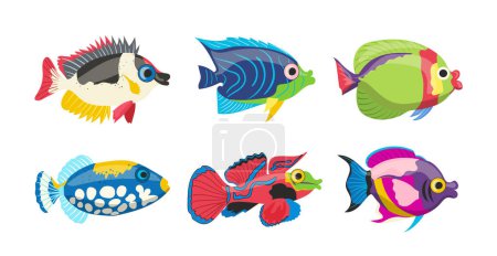 Colección de dibujos animados aislados de peces marinos coloridos y vibrante habitante de arrecifes de coral sobre fondo blanco. Representantes de la vida submarina exótica fauna oceánica vector ilustración. Set de criaturas acuáticas