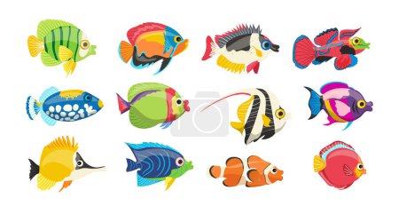 Pequeño lindo mar de agua salada peces de dibujos animados animales marinos personajes establecidos aislados sobre fondo blanco. Ilustración ornamental del vector habitante submarino del océano. Mundo submarino fauna colorida colección