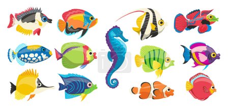 Diferentes peces marinos coloridos, agua tropical o arrecife de coral habitante exótico, animales de acuario vibrantes establecidos aislados sobre fondo blanco. Naturaleza submarina fauna oceánica vector plano ilustración