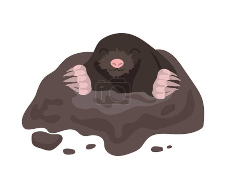 Cartoon mole cartoon character coming out of hole in ground vector illustration. Borrowing field wild animal isolated on white background. Cute rodent with funny muzzle living in underground molehill