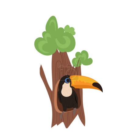Cute toucan exotic bird sitting inside tree hollow vector illustration isolated on white background. Beautiful tropics jungle bird peeking out resting in hole house. Rainforest fauna and birdhouse