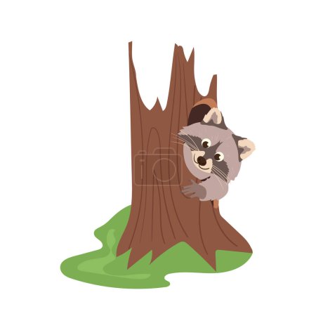 Funny raccoon cute flat cartoon character peeking out sitting in hollow of tree trunk isolated on white background. Fluffy wild forest animal mascot inside hole home in woods vector illustration