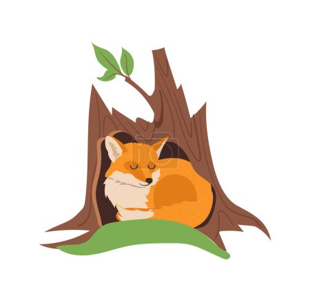 Cute little red fox cartoon character sleeping in cozy tree trunk hollow isolated on white background. Fluffy lovely wild forest animal mascot resting inside tree plant hole vector illustration