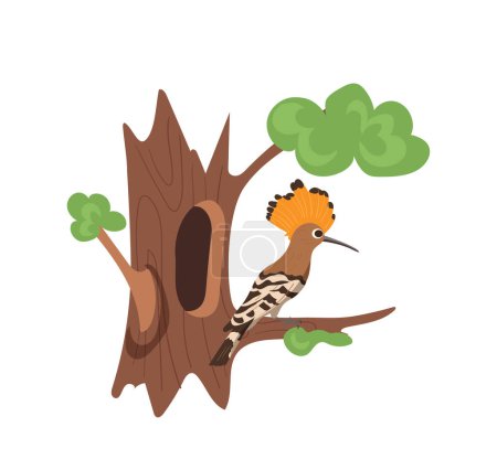 Cute crested hoopoe bird flat cartoon character sitting on tree branch nearby hollow house isolated on white background. Feathered woodland habitat, beautiful forest dweller vector illustration