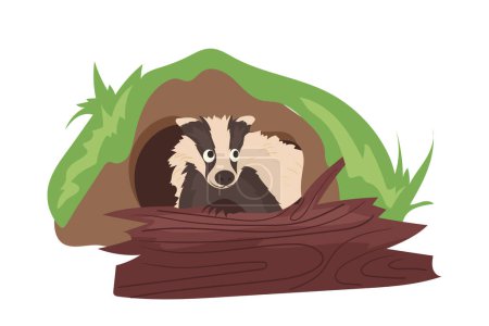 Illustration for Cute badger cartoon character living inside burrow hole in ground peeped out trunk isolated on white background. Wild forest animal funny woodland dweller resting in soil den vector illustration - Royalty Free Image