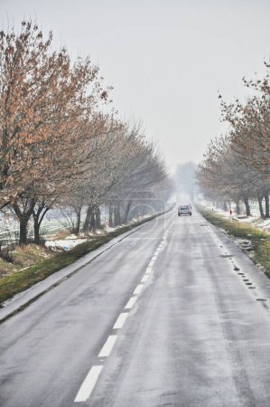 une scène brumeuse et sereine d'une voiture roulant sur une longue route droite bordée d'arbres nus, créant un sentiment de solitude et de tranquillité