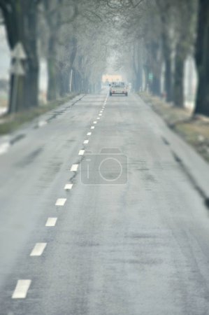 une scène brumeuse et sereine d'une voiture roulant sur une longue route droite bordée d'arbres nus, créant un sentiment de solitude et de tranquillité